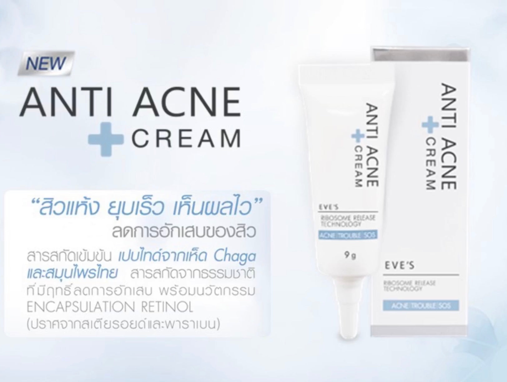 ANTI ACNE CREAM  ครีมแต้มสิว ลดการอักเสบบวมแดงของสิว ช่วยให้สิวยุบและแห้งไว