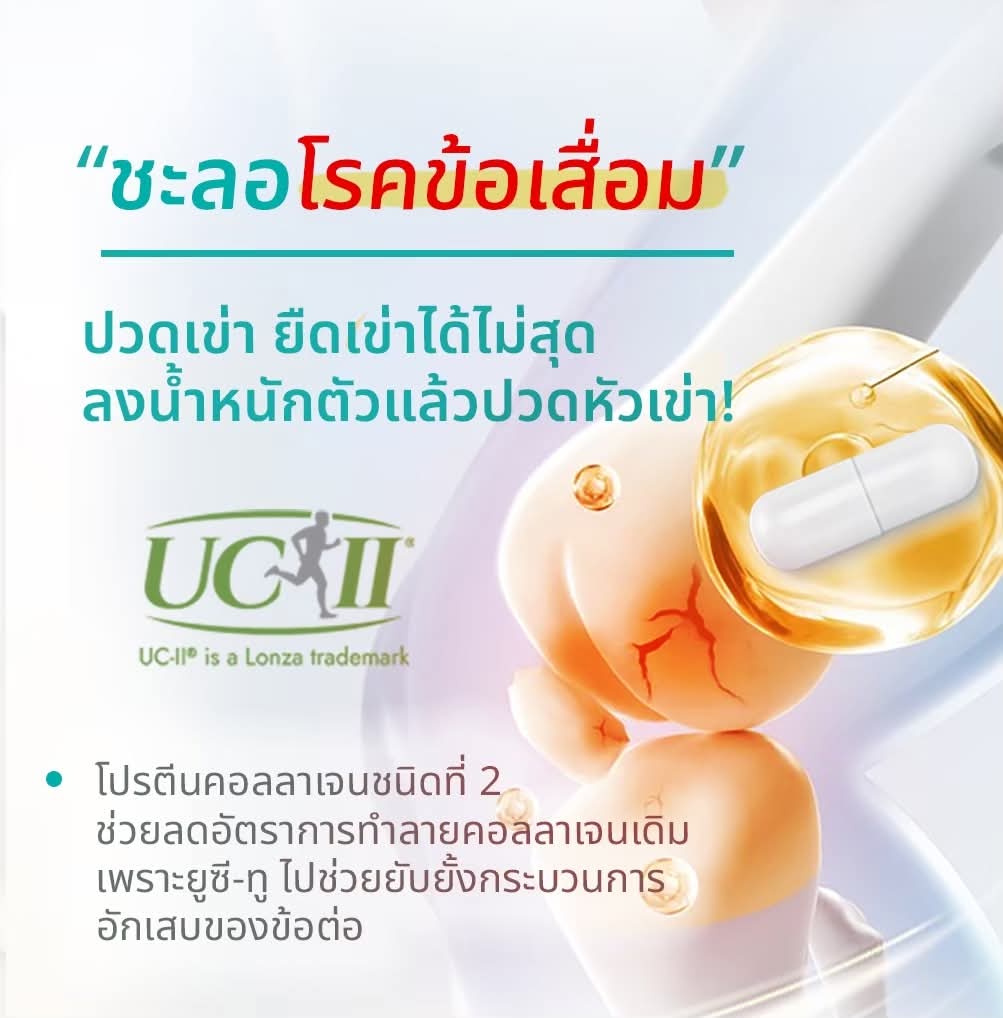 Wellflex ซองใหญ่ ชุดสุดคุ้ม จ่าย 2 เหมือนได้ 3