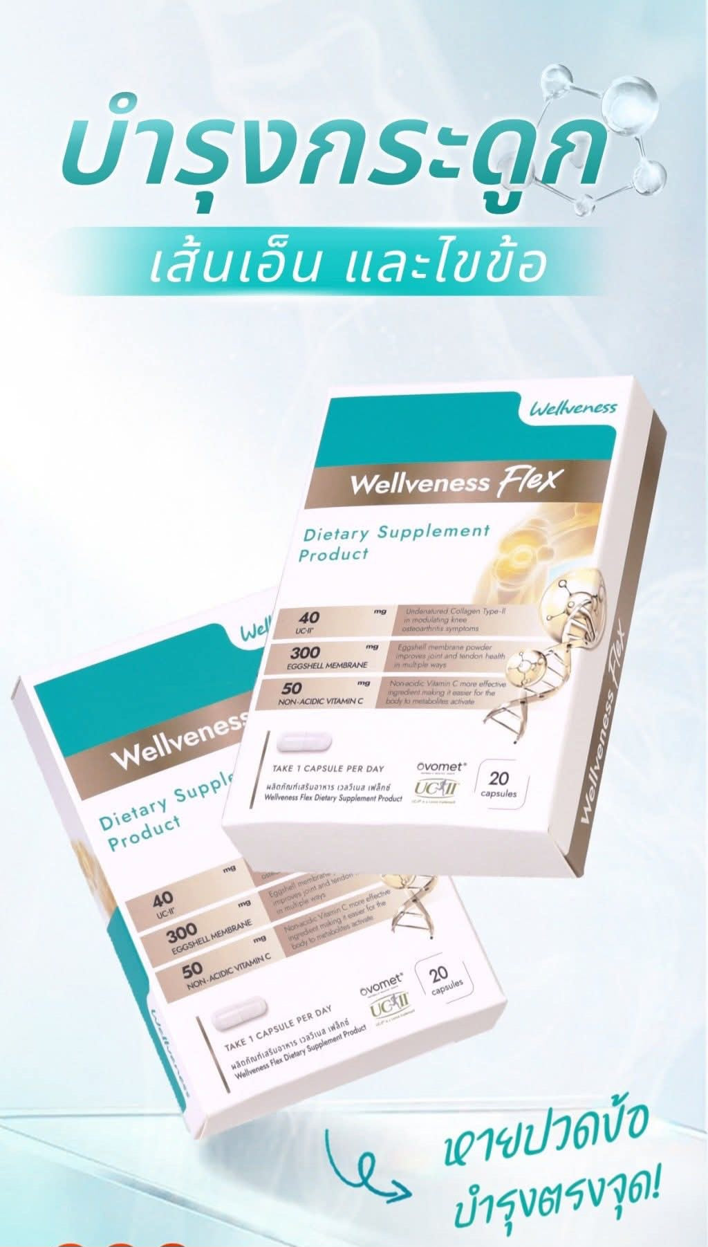 Wellflex ซองใหญ่ ชุดสุดคุ้ม จ่าย 2 เหมือนได้ 3
